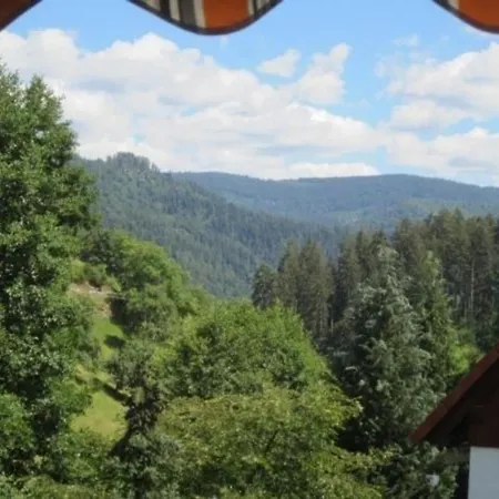 Charmante In Bermersbach Forbach