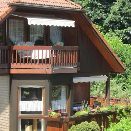 Apartman Charmante In Bermersbach *